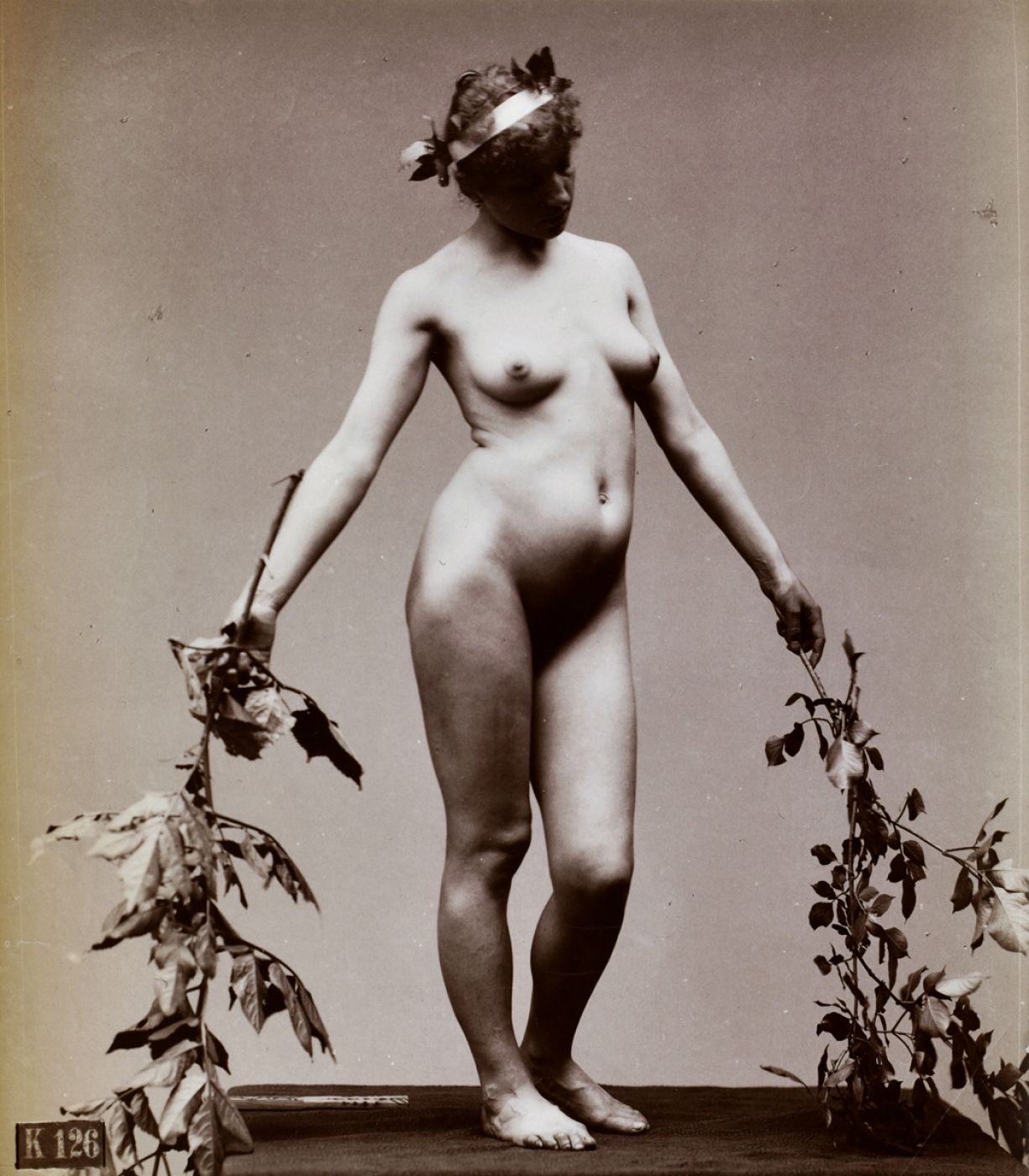 Hermann Heid, “Étude de nu aux rameaux”, 1885 ca.