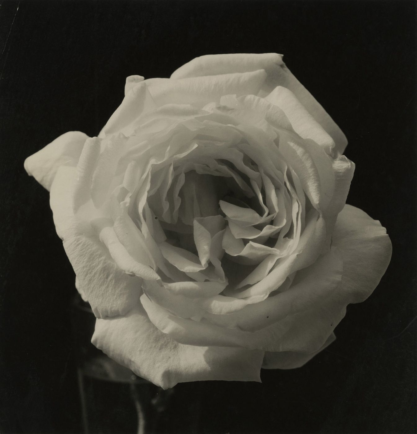 Edward Steichen, “Untitled”, 1920