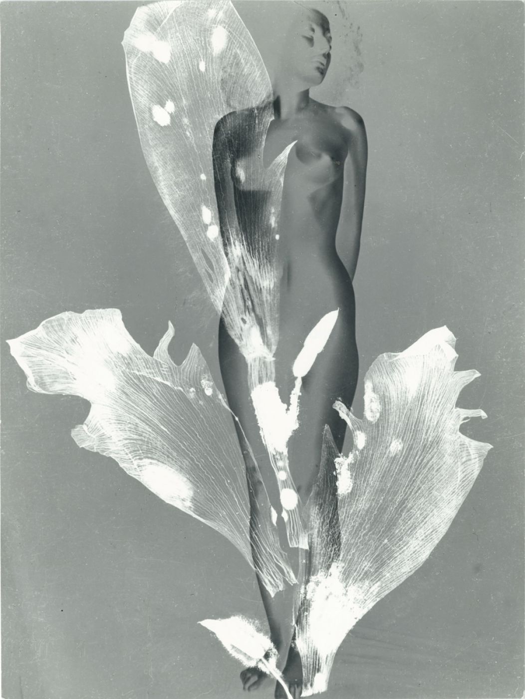 Pierre Boucher, “Femme-Fleur”, 1935
