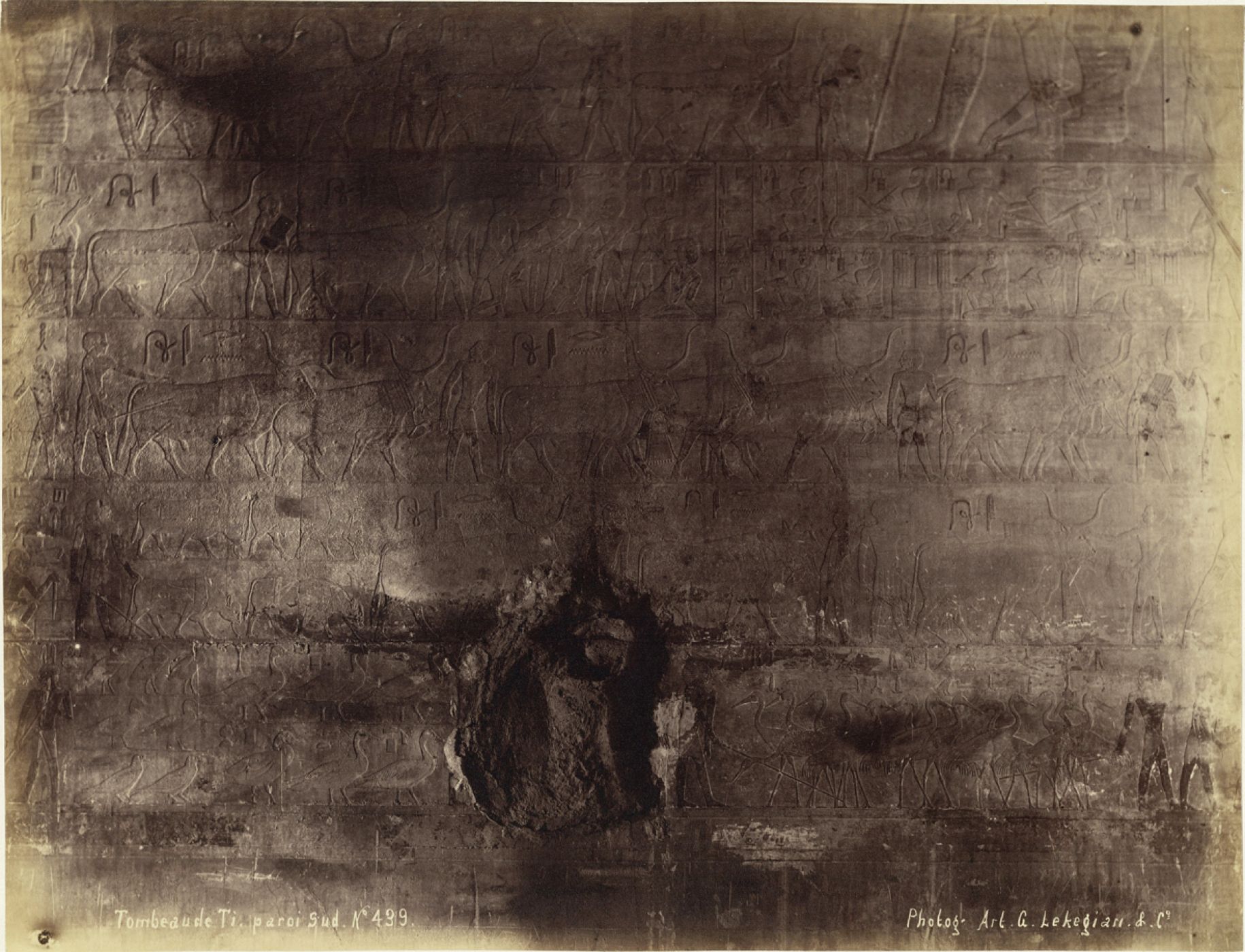 Gabriel Lekegian, “Tomb of Ti, South Wall N. 439”, 1890 ca.