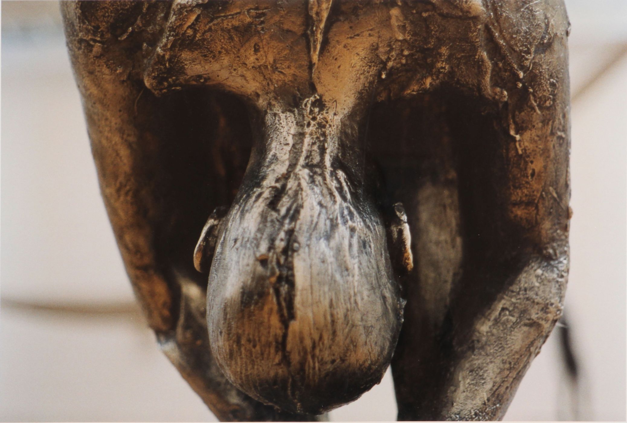 Kiki Smith, “Untitled (Upside down body with beads)”, 1995