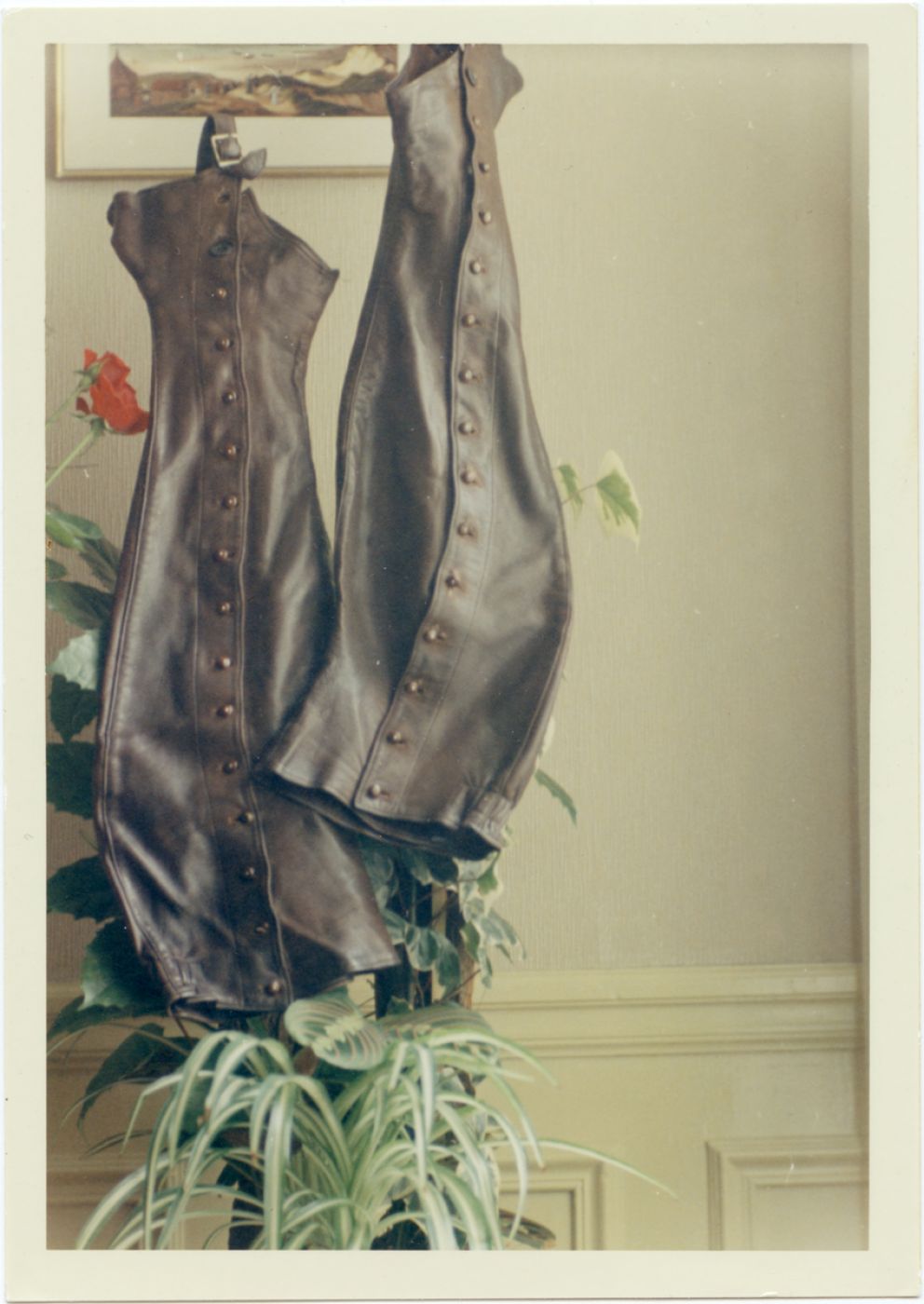  Zorro, &ldquo;Untitled (still life)&rdquo;, 1968